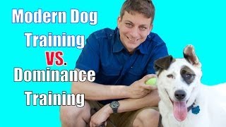 The Dominance Myth in Dog Training Explained [upl. by Win]