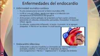 TEMA 7 2 FISIOPATOLOGÍA CARDIOVASCULAR ENF DEL CORAZÓN V2 Enf del Miocardio Pericardio endocardio [upl. by Claudio]