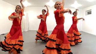 Paso doble  Grupo Caliente Flamenco dance show [upl. by Assehc]