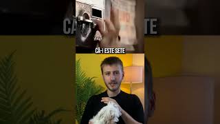 Ce preferi  Cola sau Pepsi shorts curiozități reaction reacție memes marketing [upl. by Elleira658]