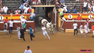 2º ENCIERRO EN TUDELA NAVARRA FIESTAS SANTA ANA 26072012 [upl. by Humfried633]