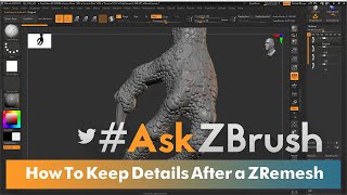 AskZBrush  How to Maintain Sculpted Details Using Project History on a ZRemeshed Model [upl. by Einnos]