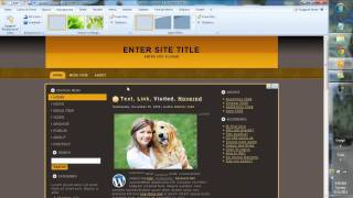 Artisteer 30 Web Design Tutorial amp Overview WordPress Joomla Drupal [upl. by Guimar]