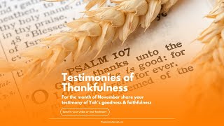 Testimonies of Thanksgiving Challenge 3 [upl. by Phares]