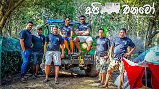 Wilpattu National Park  Kokmote Campsite [upl. by Skurnik875]