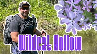 Backpacking Wildcat Hollow  Wayne National Forest [upl. by Socin347]