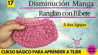 Disminución para Manga Ranglan con Ribete a dos agujas  Curso Básico capítulo 17 [upl. by Albertson741]