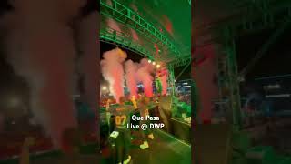 Que Pasa at DWP XV bali dwp dwp2023 bali indonesia musikviral musikindonesia jakarta [upl. by Mathur21]