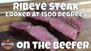 Ribeye Steak on the Beefer  1500 Degrees Seared Ribeye [upl. by Okia273]