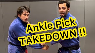 Ankle Pick Takedown in The Kimono [upl. by Ialda]