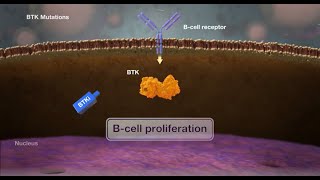 Mechanism of Brutons Tyrosine Kinase BTKMutations [upl. by Pedrotti501]