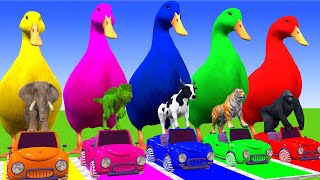 5 Giant Duck Cartoon Cow Giraffe Elephant Lion Paint Wild Animals Crossing Fountain Animation 5 [upl. by Anoed]