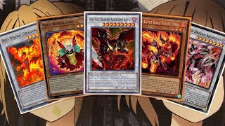 My Red Dragon Archfiend Yugioh Deck Profile for Post September 2024 Banlist [upl. by Sarge]