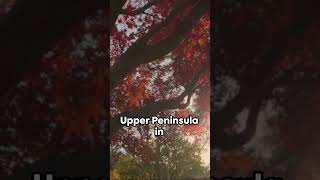 Fall Foliage Spots [upl. by Esorylime]