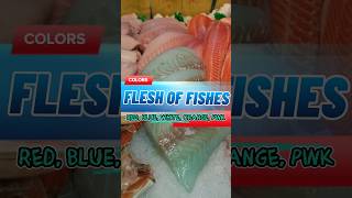 Types of fish WHAT DOES THE COLOR OF FISH FLESH TELL shorts shortsfeedhort fish seafood flesh [upl. by Alleuqram]