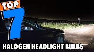 Top 7 Best Halogen Headlight Bulbs Review in 2024 [upl. by Yeslehc]