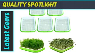 Seed Sprouter Tray The Best EcoFriendly Seed Germination Solution [upl. by Roley]