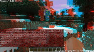 Minecraft ERROR 422 [upl. by Alegre]