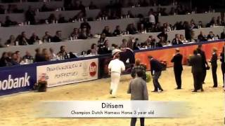 KWPN Stallion Show DHH and Dressage 2011 [upl. by Oulman]