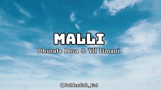 DHURATA DORA X YLL LIMANI  MALLI Lyrics [upl. by Clareta]