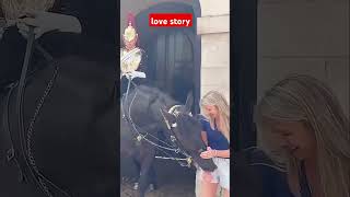 Lovely momentshorse buckinghampalace royalhorseguard tourist horseguard [upl. by Marks]