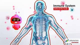 Naturamore Immune Plus Trivia Hindi [upl. by Eidualc382]