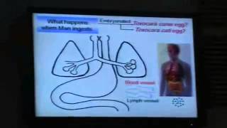 Dr Azza Nematodes 5 Anclystoma Duodenale YouTube [upl. by Bent212]