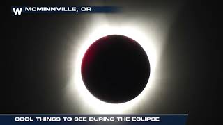 Total Solar Eclipse  Cool Things to See  April 8 [upl. by Aime]