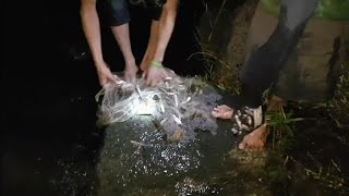 Serunya Menjala Ikan Malam Hari Dapat Banyak [upl. by Drisko]