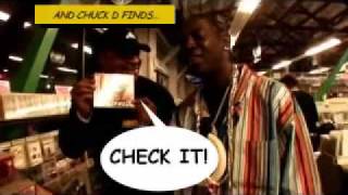 Flavor Flav UNGA BUNGA BUNGA Official Music Video [upl. by Doll892]