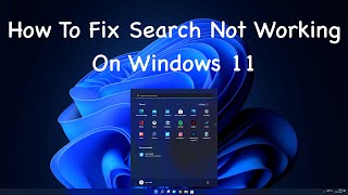 How To Fix Search Bar Not Working On Windows 11 [upl. by Erdna]