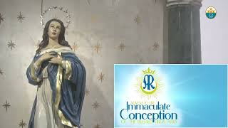 Ninth Day of Novena Mass to the Immaculate Conception  December 07 2023 1210pm [upl. by Brick]