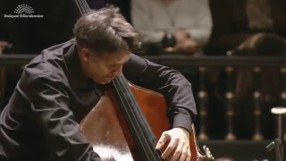 Zsolt Fejérvári plays Vanhals Bass Concerto [upl. by Leelahk757]