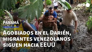 Agobiados en el Darién panameño migrantes venezolanos mantienen la vista en EEUU  AFP [upl. by Anilok371]