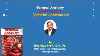 Precapillary arterial anastomosis [upl. by Shepp]