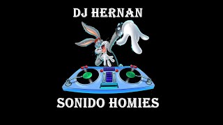 Cumbias TROPICALISIMO APACHE MIX Dj Hernan [upl. by Adleremse]