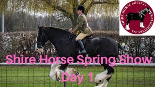 National Shire Horse show  Day 1 [upl. by Ahsetel]