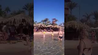 Sharm El Sheikh Egypt Naama bay [upl. by Tenej]