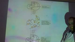 Estructura terciaria de proteínas parte 1 [upl. by Karleen]