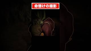 命懸けの撮影 short devour ゲーム実況 [upl. by Wj]