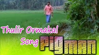 Pigman Malayalam Movie  Songs  Thulir Ormakal Song  Jayasurya  Ramya Nambeesan [upl. by Mitzie]