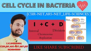 CELL CYLCE IN PROKARYOTES LECTURER1  CELL DIVISION IN BACTERIA  GENE REGULATOR [upl. by Septima]