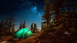 Campfire Sounds  Relaxing Forest and Nature Soundscape Camping Under the Stars [upl. by Gothurd]