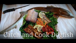 Catch and Cook Sand Shark aka dogfish [upl. by Raji]