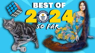 BEST WORLD RECORDS of 2024 so far  Guinness World Records [upl. by Ahcilef]