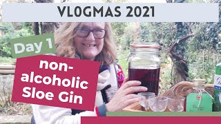 How to make nonalcoholic Sloe Gin [upl. by Cioban966]