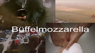 Büffelmozzarella aus Italien  100  frische Büffelmilch  Bauernhof mit Liebe zur Qualität [upl. by Mcconaghy636]