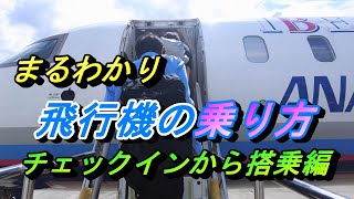 いよいよ搭乗へ！ 預けられないけど持ち込みが出来るもの？カウンターと自動チェックイン機どっち使えばいい？【国内線 飛行機 乗り方 自動荷物預け機 保安検査場】 [upl. by Elisabeth573]