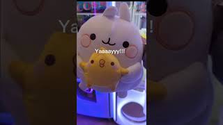 Huge Molang and Piu Piu plush toy Claw Machine WIN molangandpiupiutoys clawmachinewin [upl. by Akemehc553]