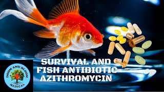 Antibiotic Azithromycin [upl. by Neirda]